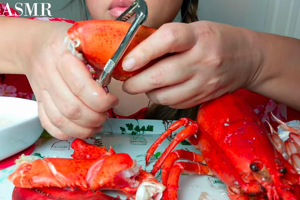 Do We Really Need an ASMR of Someone Eating Maine Lobster?