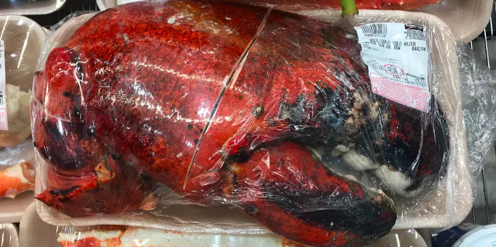 We Need to Talk About This Insanely Massive Lobster Claw