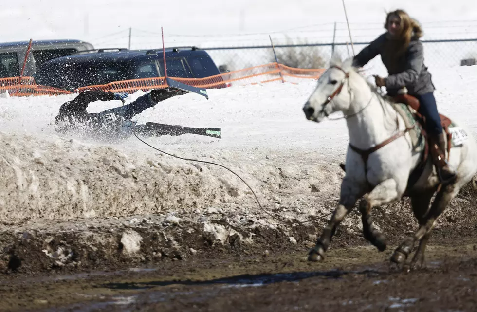 What is Skijoring? Discover This Crazy Maine Winter Sport