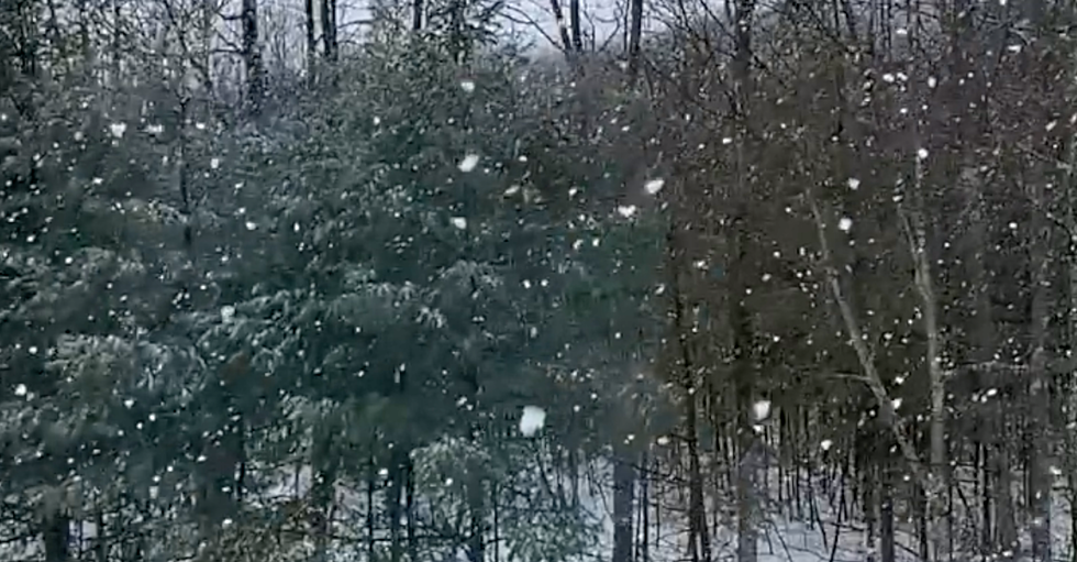 SloMo Video: These Are the Biggest Snowflakes We&#8217;ve Ever Seen in Maine