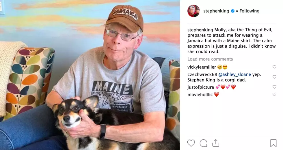 Stephen King Captions His Dog Photos on Instagram Like A Pro