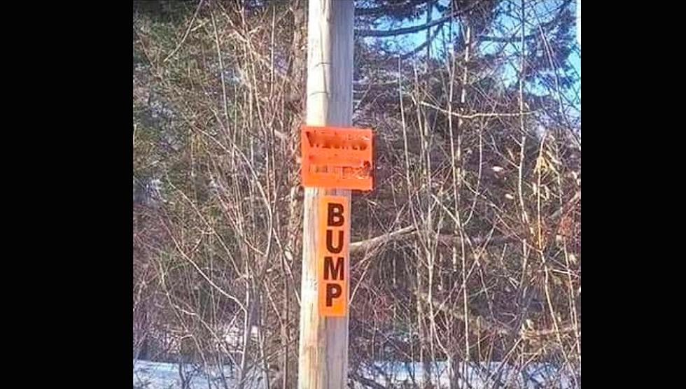 This BUMP Sign was Obviously Improved by a Born and Raised Mainer