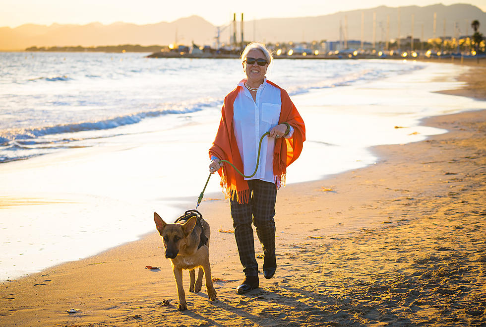 Saco Beaches Have A New Leash Law In Effect For Summer 2019