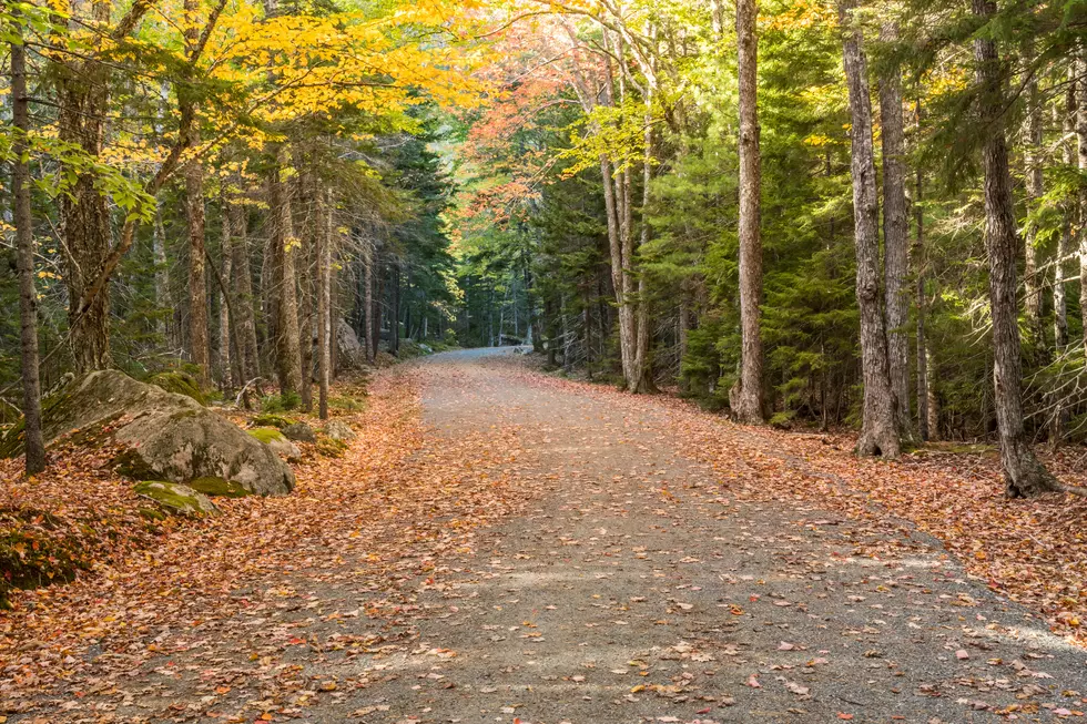 Mud Causes Closures At Acadia National Park