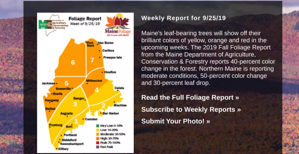 Maine.gov