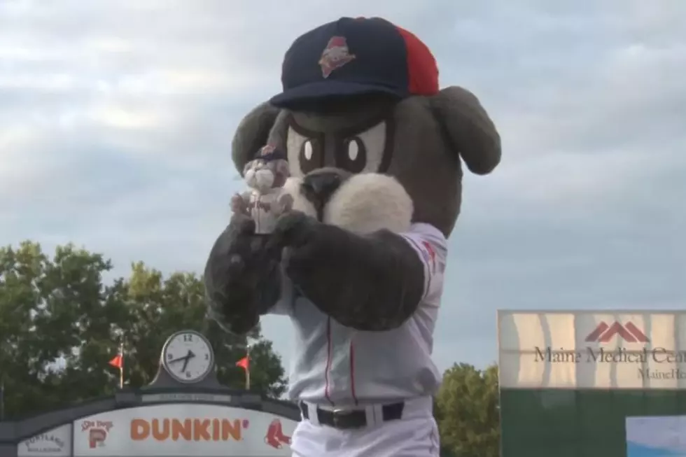 Watch Slugger The Sea Dog&#8217;s Own Version of &#8216;The Lion King&#8217;