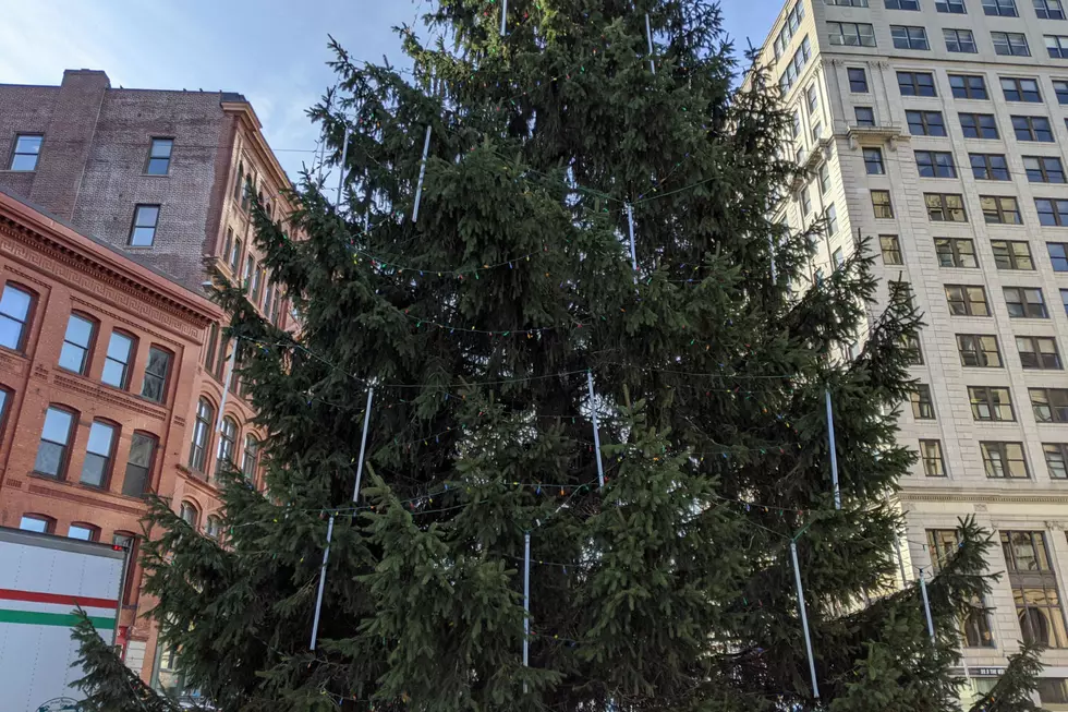Portland&#8217;s Holiday Tree Has A New Type of Light This Year