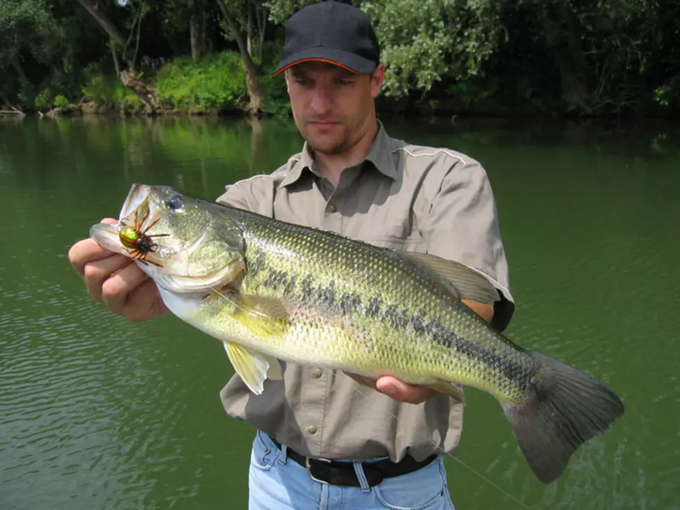 Mainers, You Can Still Go Fishin&#8217;