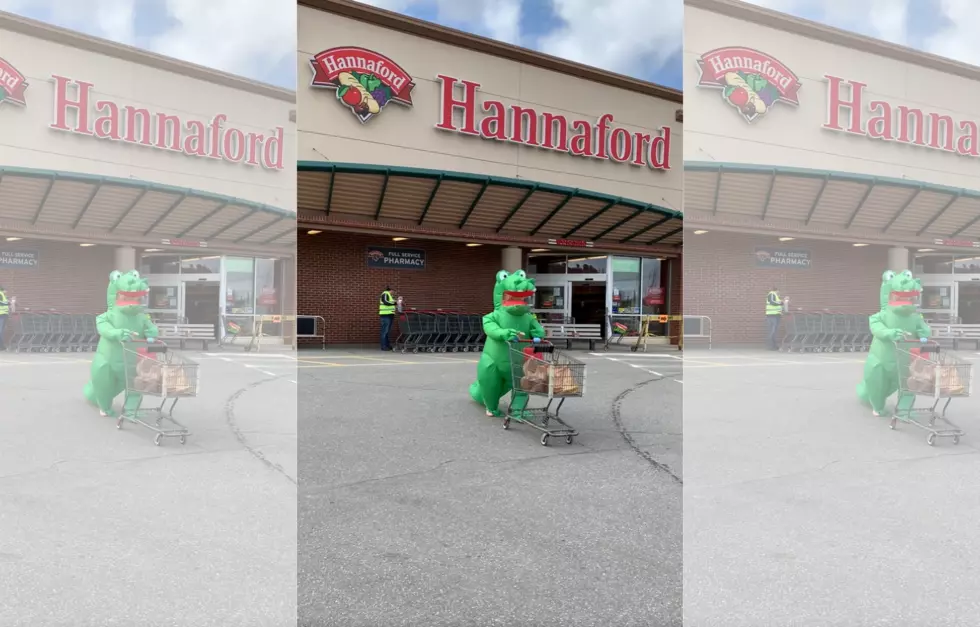 Alligator Caught Doing Some Essential Shopping at Maine Hannaford