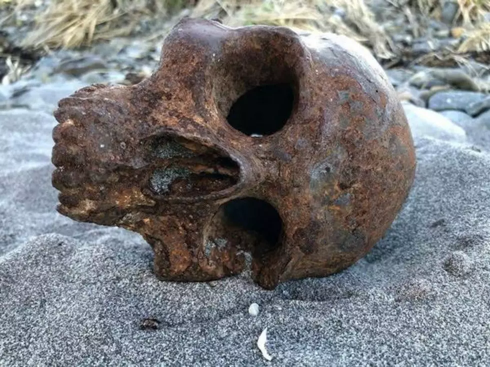 Mystery of Metal Skull on Kittery Beach Solved