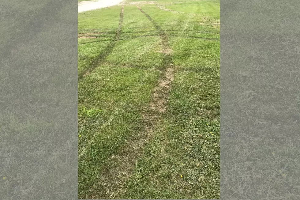 Some Jerk Tore Up The Grass At a New Gloucester Park