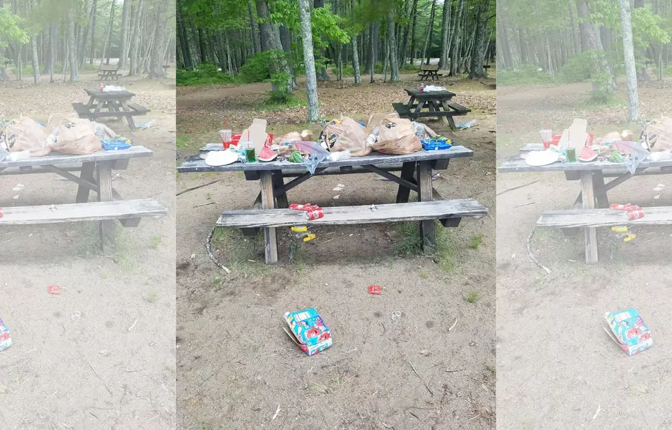 If You’re Going to Enjoy Maine’s State Parks, Don’t be Disgusting