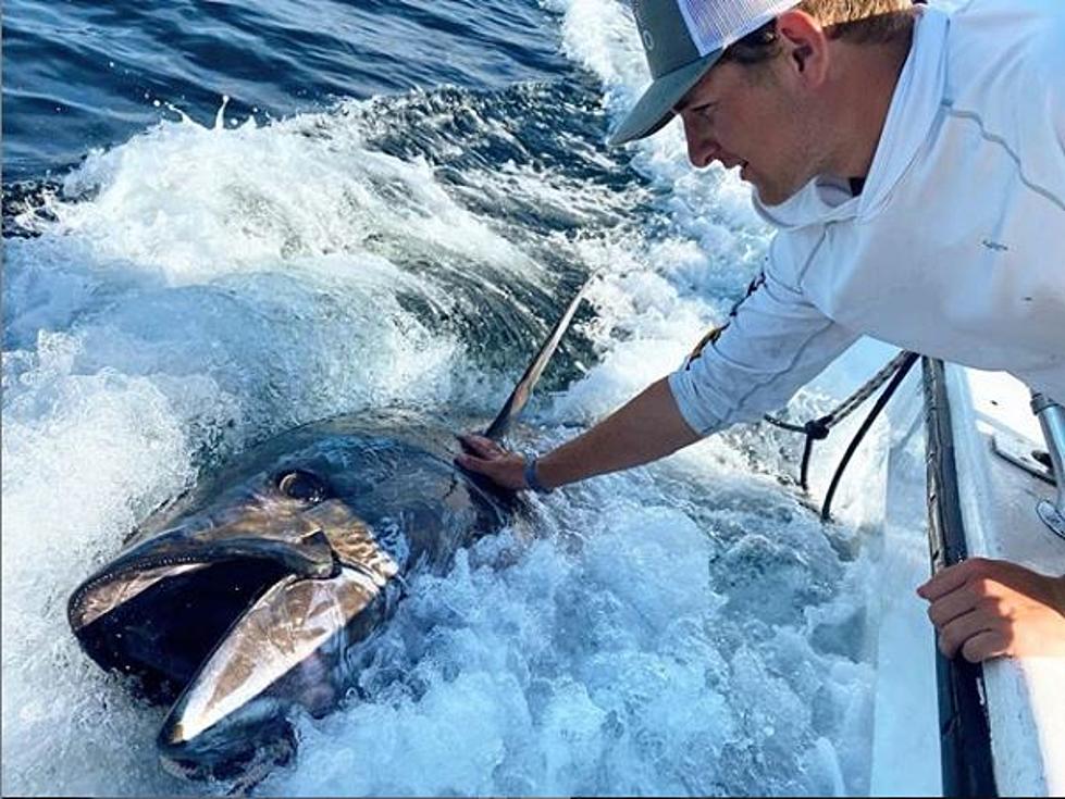 3 Teens Spent 7 Hours Reeling in 700 lb Tuna Off Maine Coast