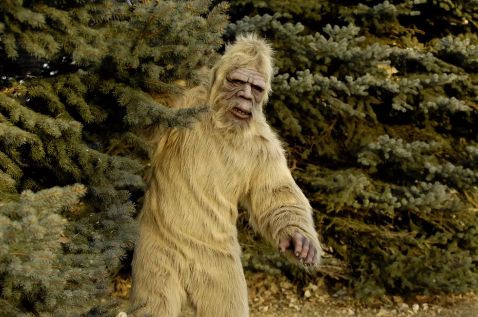 Bigfoot Encounter Leaves Man in Shock