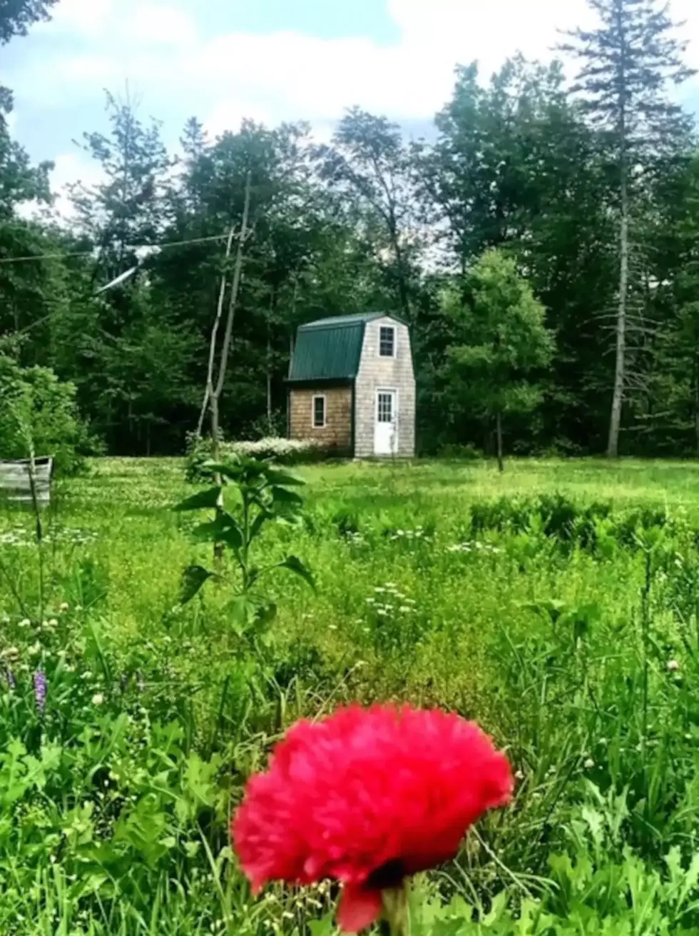 Would You Airbnb Your Home in Maine to Make Extra Cash?