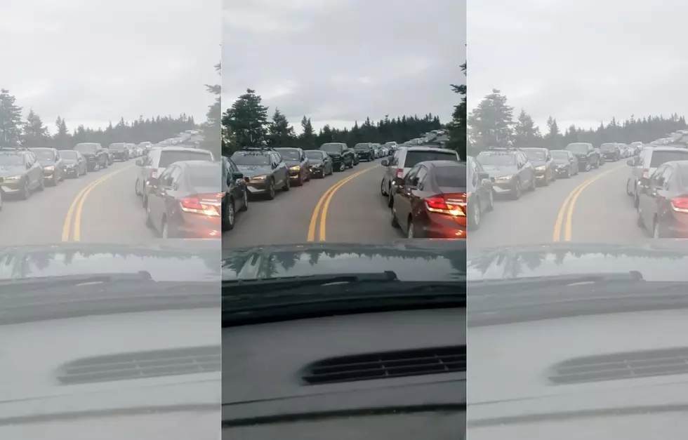 Parked Cars Leading Up To Cadillac Mountain Are Insane
