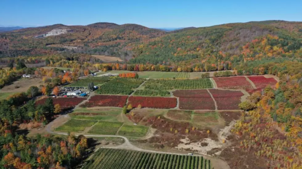 10 of the Best Apple Orchards in Maine