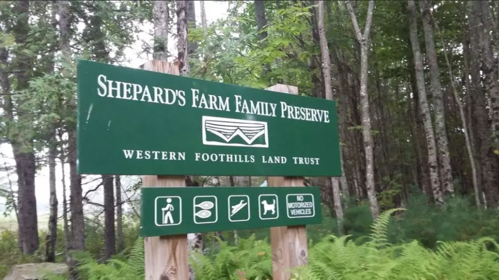 Hike Shepard's Family Farm Preserve in Norway