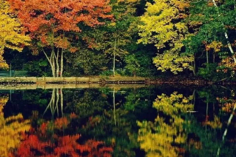 10 Photos of Breathtaking Fall Foliage Around Maine and New Hampshire