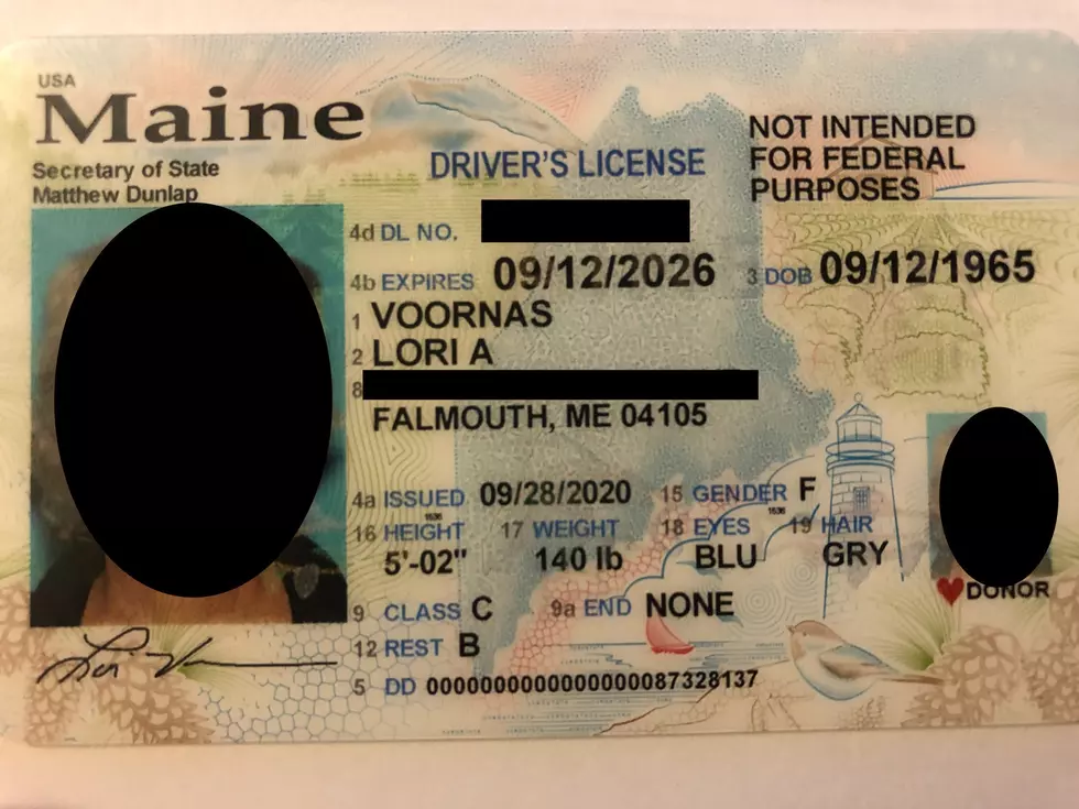 I Purposely Made My 2020 License a Memory of the Dumpster Fire Year