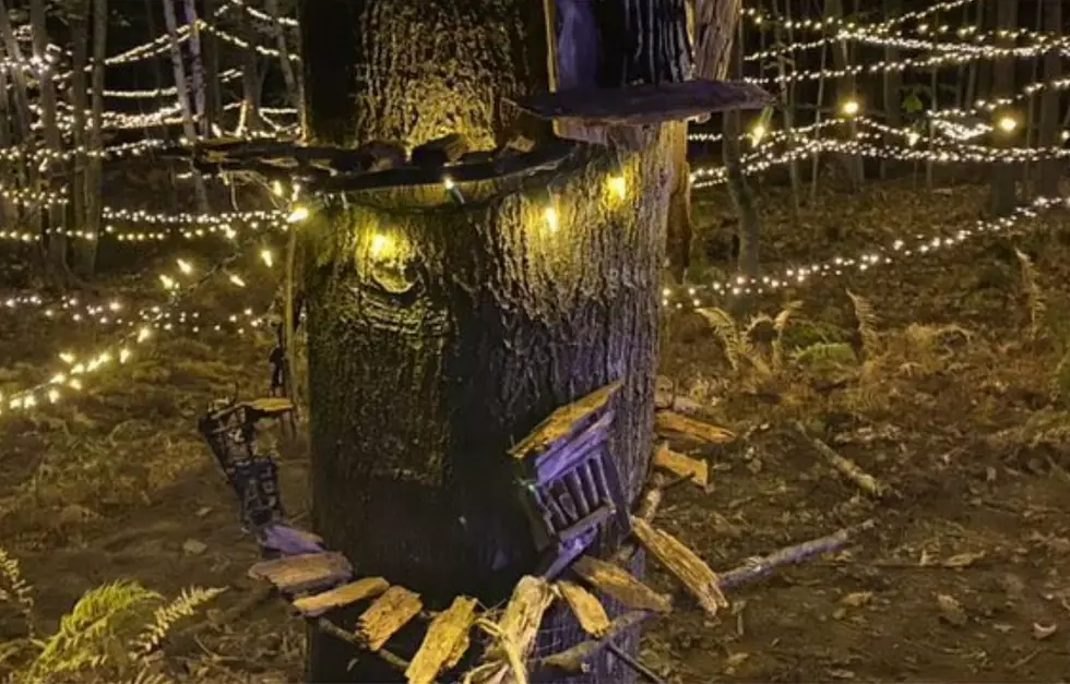 Experience Maine Farm&#8217;s Whimsical Light-Up Folklore Fall Trail