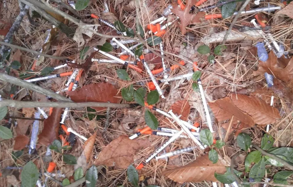 Hypodermic Syringes Found Along Maine Path