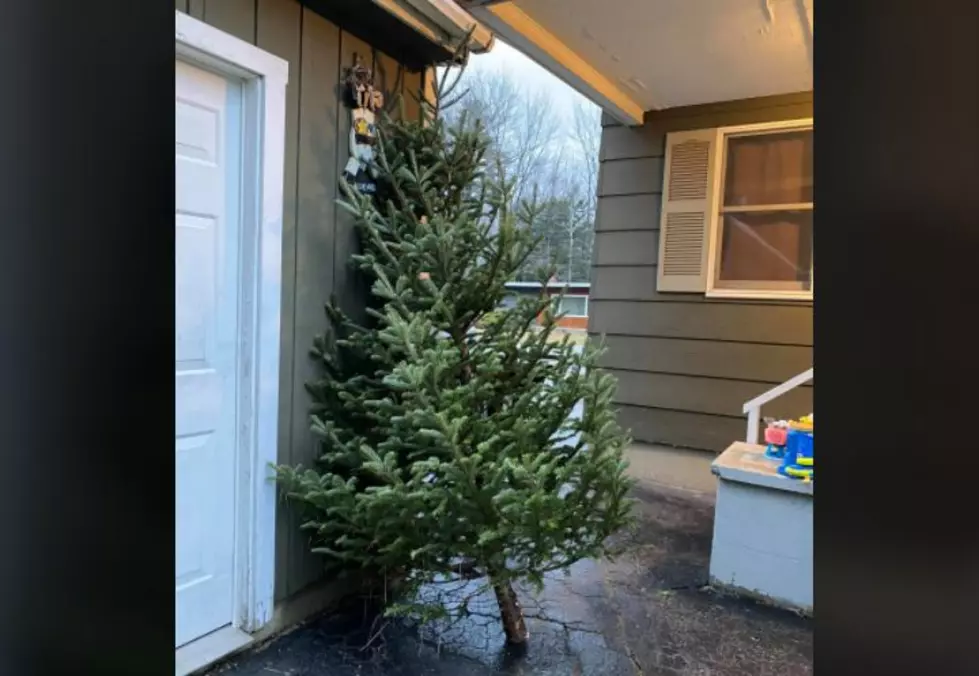 Christmas Trees Keep Lewiston Mom’s Memory Alive