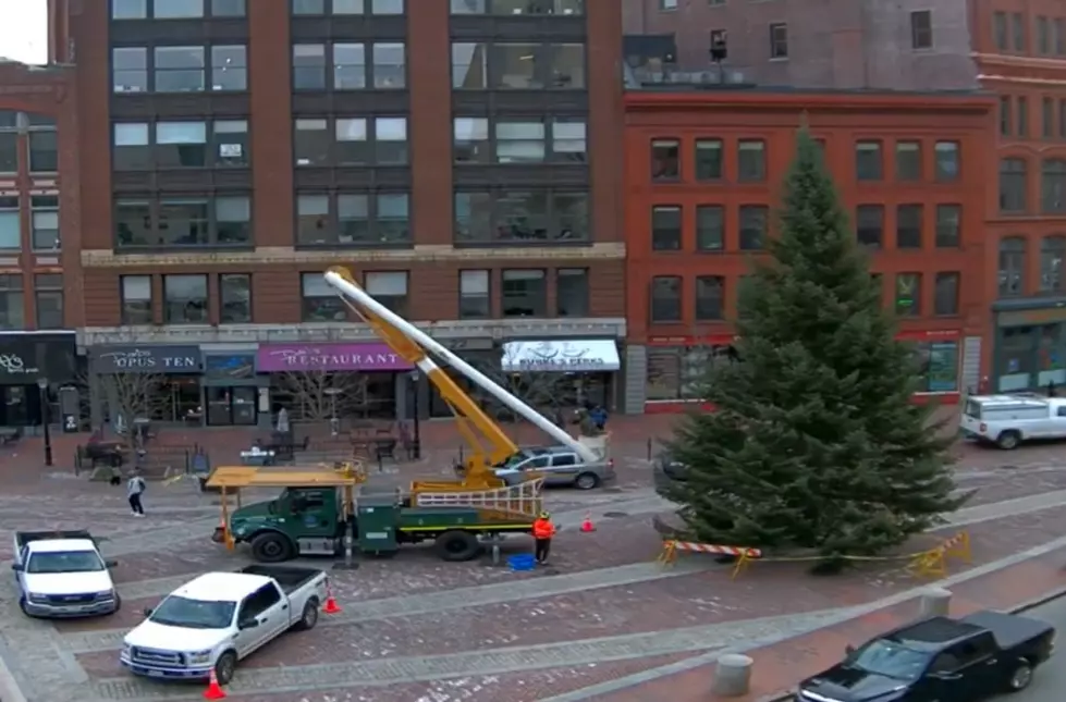 See The New Monument Square Tree From Your Own Home