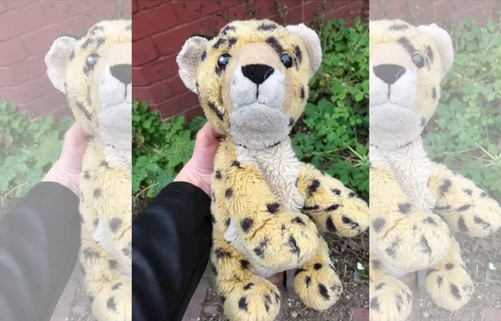 Did Your Kiddo Lose Their Stuffed Cheetah in Portland?