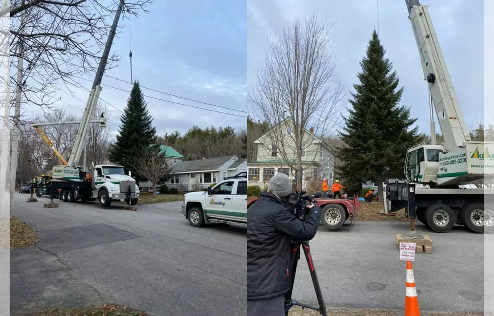 The Story Behind The Monument Square Tree is a Christmas Miracle