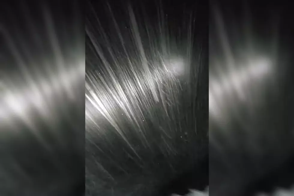 WATCH: Wild Winds, Intense Flying Snow on Mount Washington Looks Like ‘Star Wars’ Lightspeed