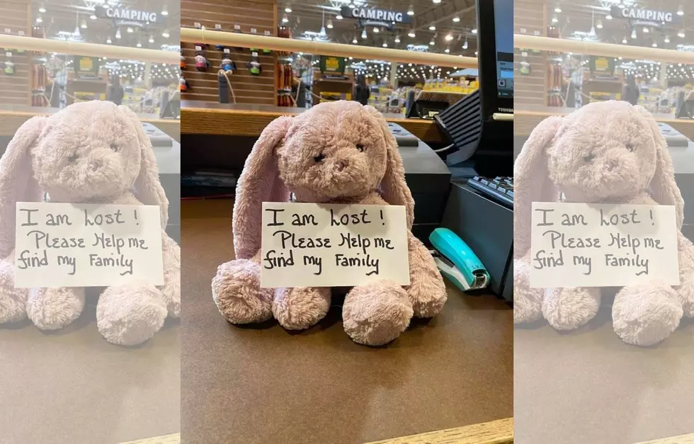 Help Lost Stuffie Found at Cabela’s in Scarborough Get Home