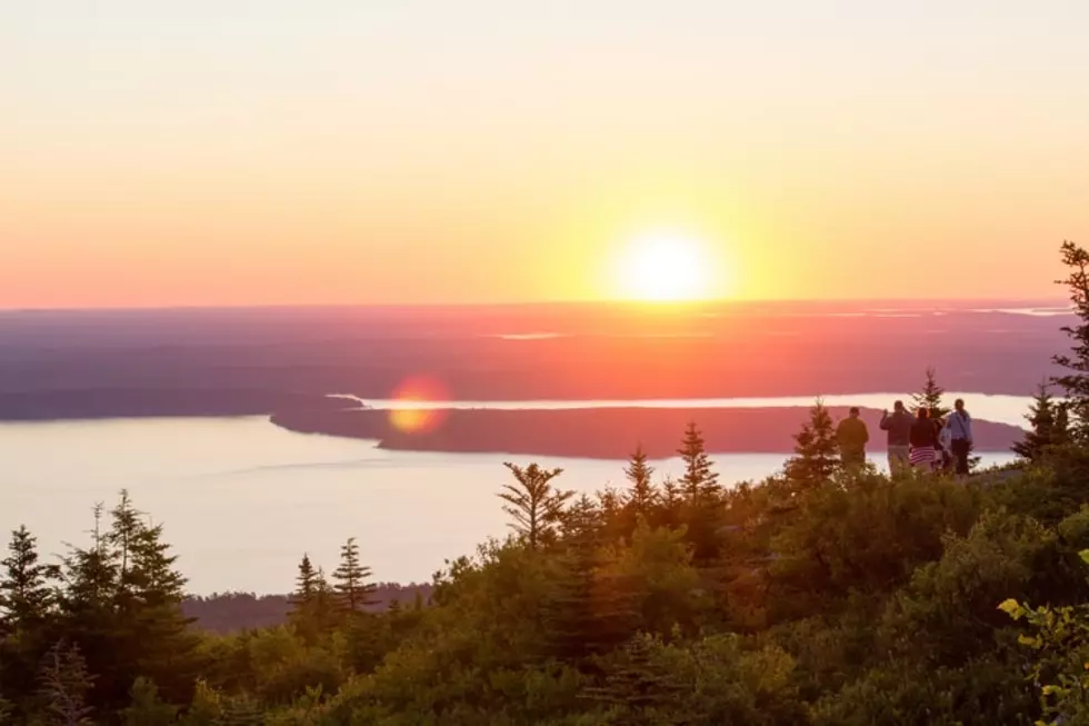 Busy Acadia for the 4th: How About a Book about the Park Instead?