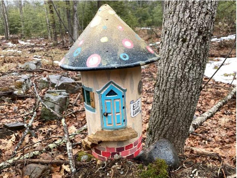 Find All 11 Gnome Homes at the Pride Preserve in Westbrook