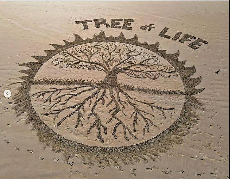 Tree of Life on Ogunquit Beach is Latest Creation of Subby