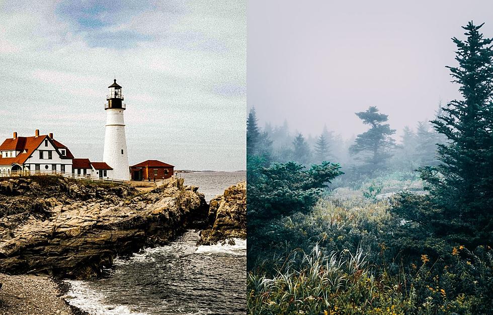 30+ Stunning Free Phone Wallpapers for Maine Lovers Everywhere