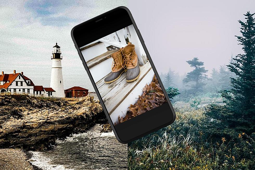30+ Stunning Phone Wallpapers for Maine Lovers Everywhere