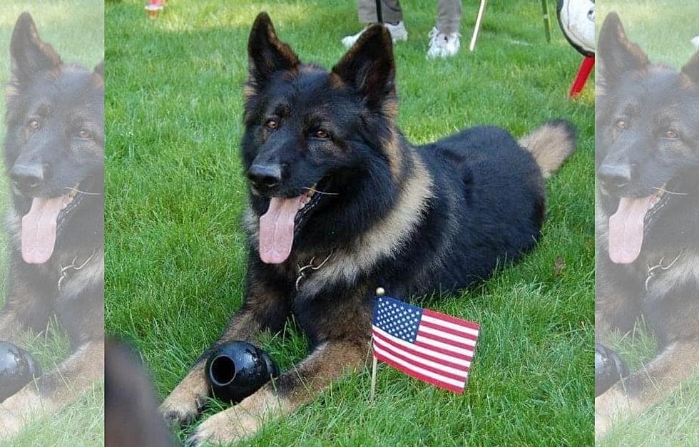 Scarborough, Maine Police Department Remembers Beloved K9