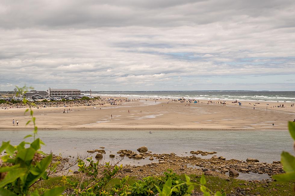 Why Are People&#8217;s Feet Turning Black After Going to Southern Maine Beaches?