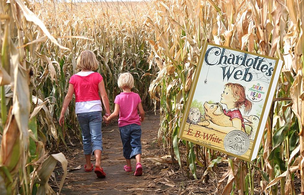 Get Lost in a Stunning Charlotte’s Web Themed Corn Maze in Levant, Maine