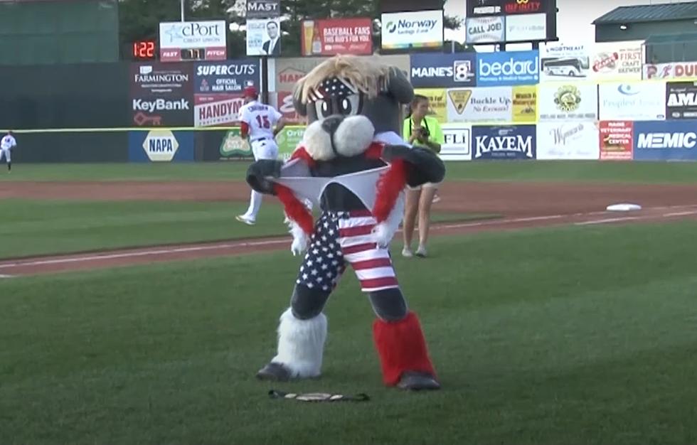 Slugger the Portland Sea Dog Needs Your Vote to Become Inducted Into The Mascot Hall of Fame