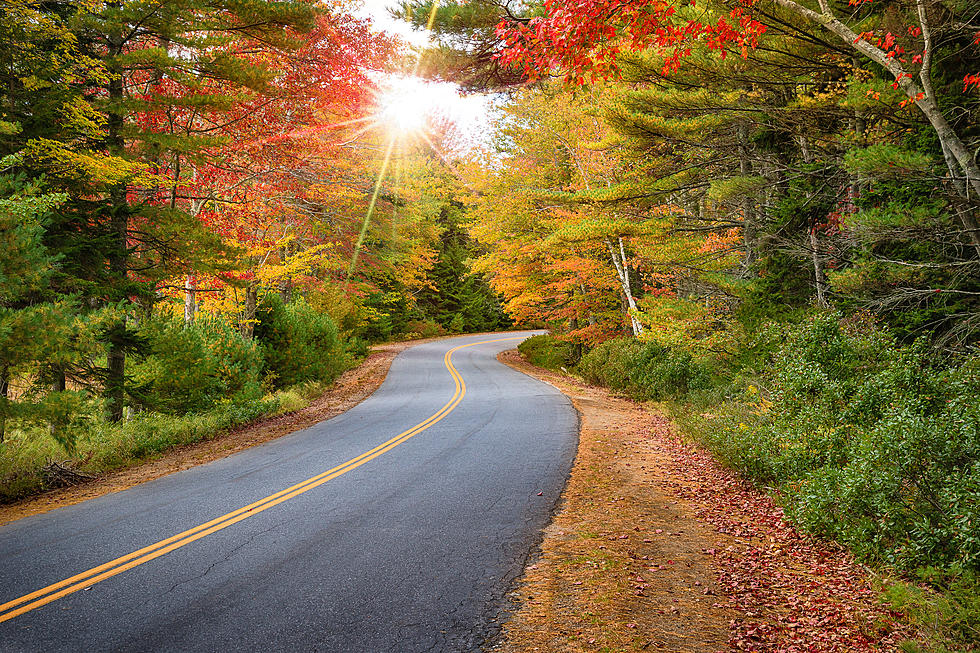 It's Peak Foliage Week For the Maine Coast