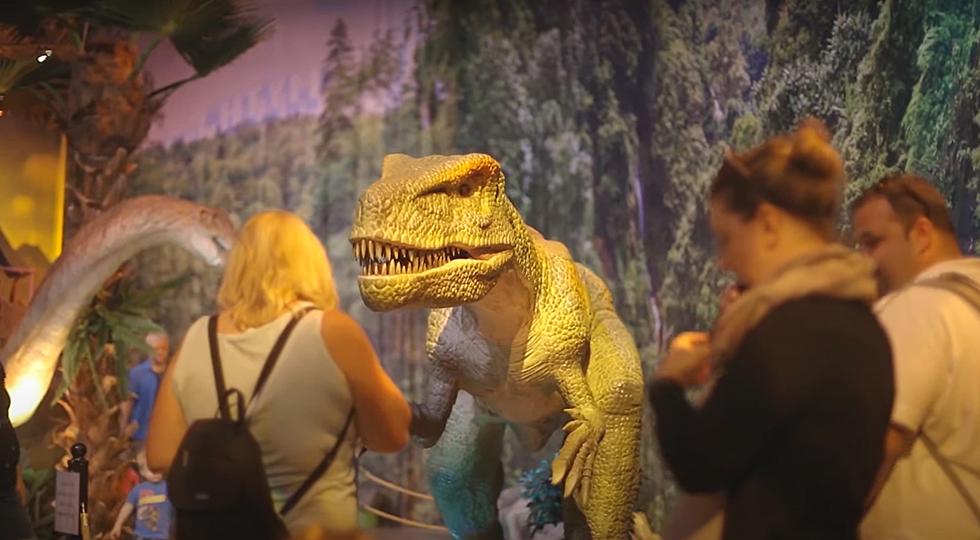 Get Up Close With Dinosaurs at Boston's Faneuil Hall
