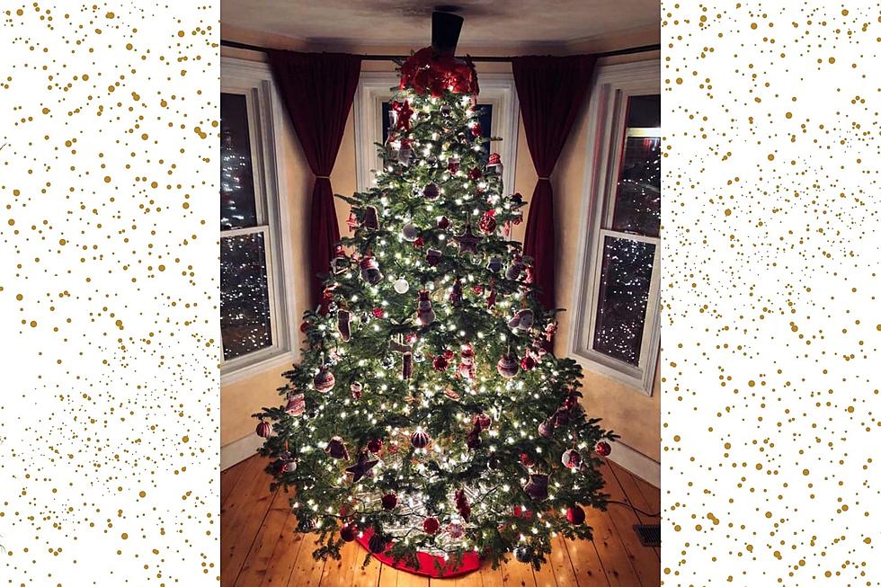 30+ Mainers Shared Photos of Their Christmas Trees With Us