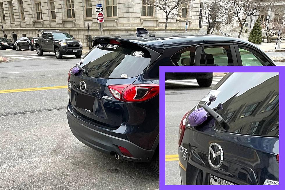 Doggie Poo Bags Tied to Car Windows in Maine is Not a Revenge Move