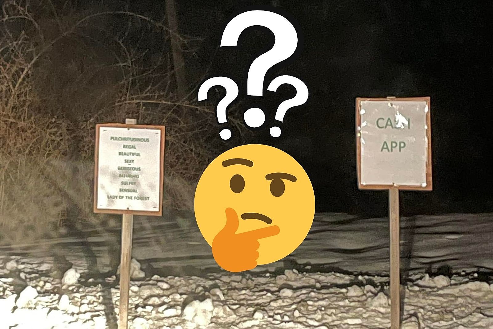 Please Explain to Me What These Signs in Windham, Maine Mean