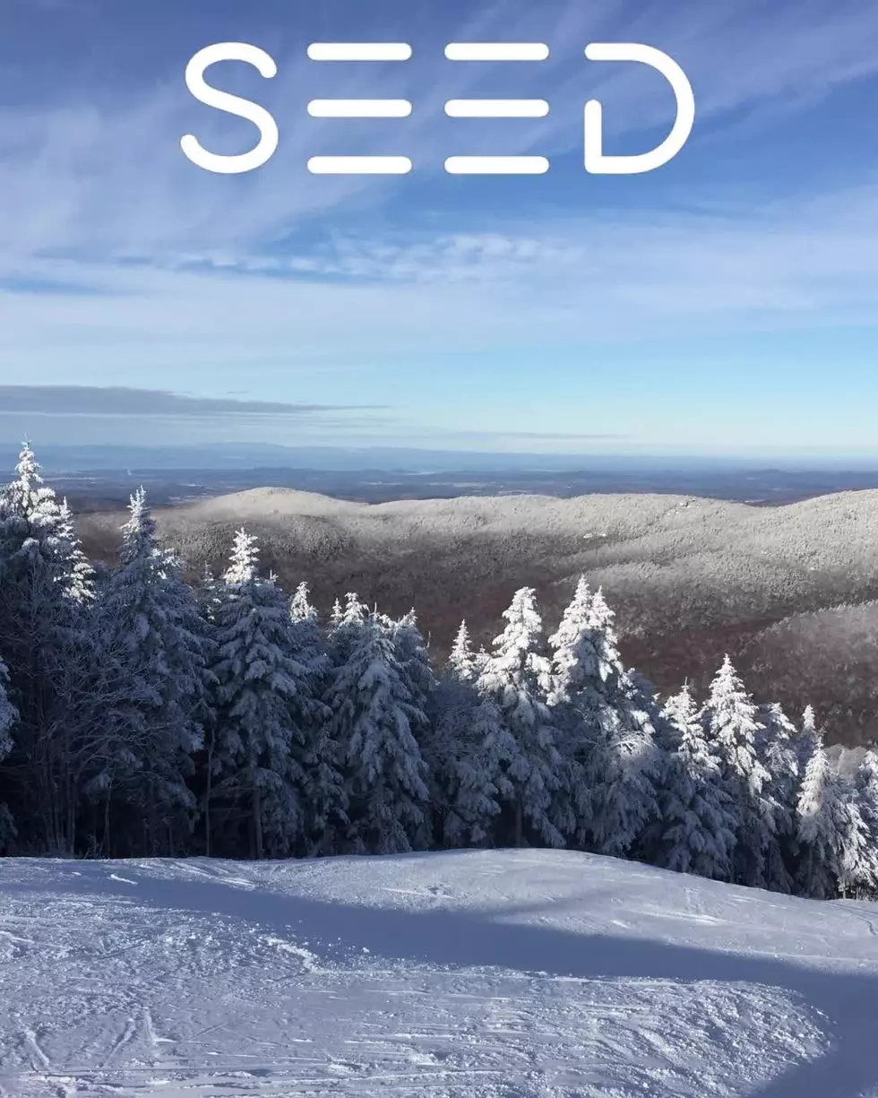 SeedYourHead Facebook