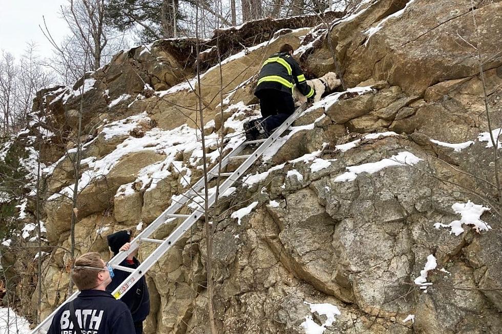 Maine Firefighters Help Rescue Dog Stuck on the Rocks