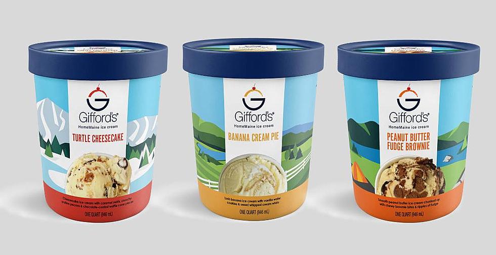 Maine Black Fly Ice Cream is a New Flavor From Gifford's