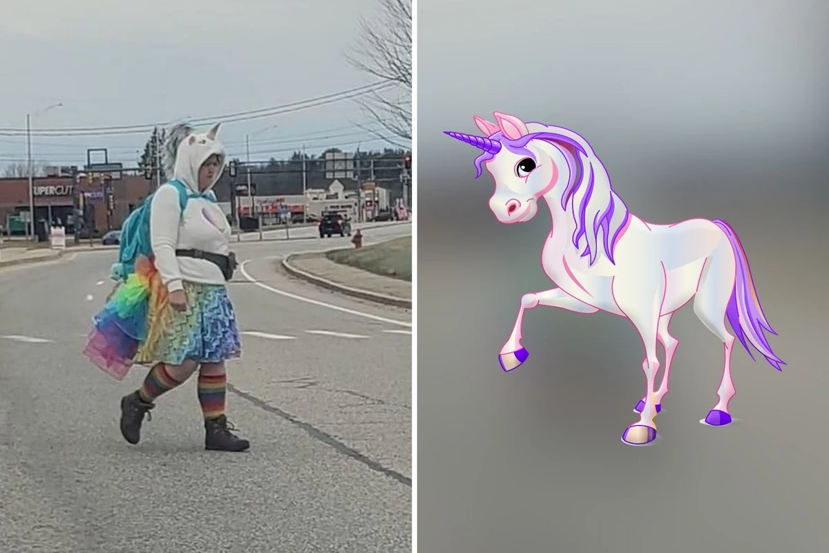 real unicorn sightings